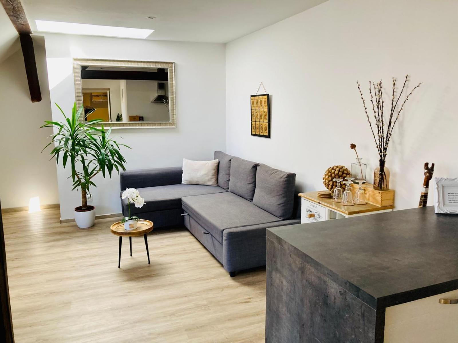 Vip Apartment In Old Town With Free Parking Pressburg Exterior foto
